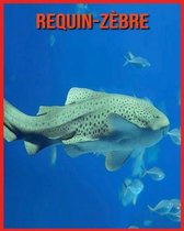 Requin-Zebre