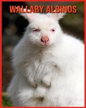 Wallaby Albinos