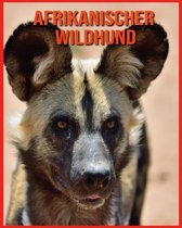 Afrikanischer Wildhund