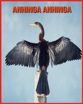 Anhinga anhinga
