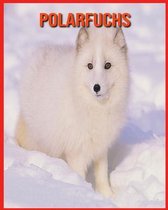 Polarfuchs