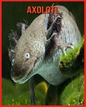 Axolotl