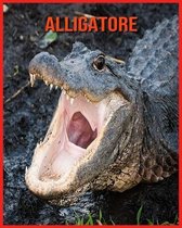 Alligatore: Alligatore