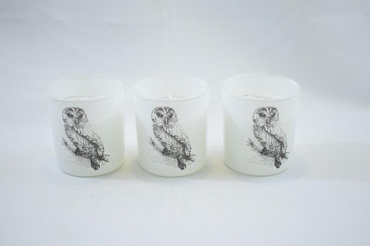 ZoeZo Design - 6 stuks - Waxinelichtjeshouder - met Bolsius kaars - wit - glas - uil - H8 x Ø 7 cm
