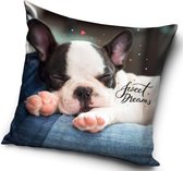 Sweet Dreams Hond - Sierkussen Kussen 40 x 40 cm inclusief vulling