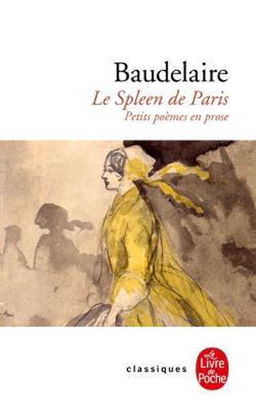 Le Spleen de Paris, 253 pages