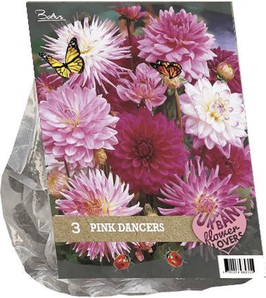 3 stuks Urban Flowers - Pink Dancers
