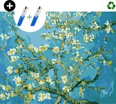 deeds. - Schilderen op nummer volwassenen - Paint by number  - Verven op nummer - Bloemen Van Gogh - DIY set +Extra Penselen!