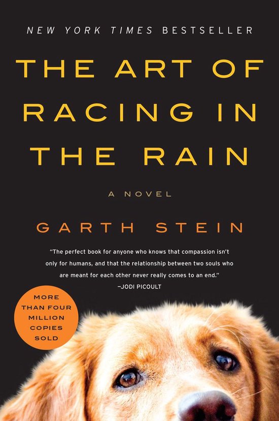 The Art of Racing in the Rain - cover