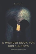A Wonder Book for Girls & Boys: with original illustrated