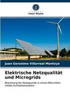 Elektrische Netzqualität und Microgrids