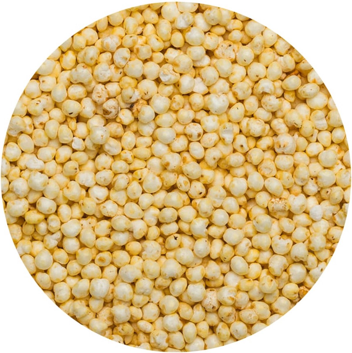 Goedkoopste Gierst Millet Gepoft - 100 gram - Holyflavours