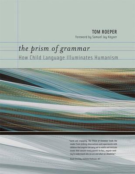 Prism Of Grammar