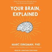 Your Brain, Explained: What Neuroscience Reveals about Your Brain and Its Quirks