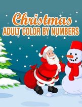 Christmas Adult Color By Numbers