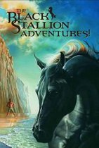The Black Stallion Adventures 4 Volume Boxed Set comprising The Black Stallion, The Black Stallion Returns, The Black Stallions Ghost, The Black Stallion Revolts