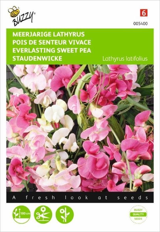 Lathyrus latifolius (kleurenmengsel)