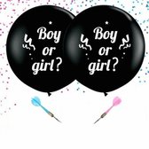 Partygoodz - 2 Gender Reveal Ballon - Confetti Blauw Roze - 2 Dartpijlen - Meisje - Jongen - Babyshower - Party Decoratie - Suprise