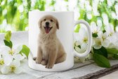 Mok - Golden Retriever pup - beker - cadeau - hondenras