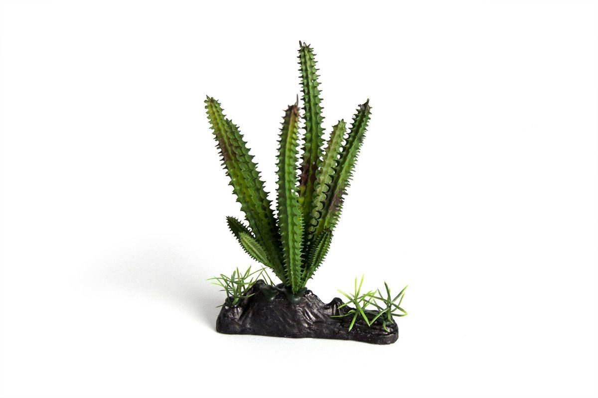 RepTech Terrarium Plant Simple Cactus