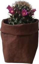 de Zaktus - Mammillaria spinosissima bloeiend - cactus - paper bag bordeaux rood - Maat S
