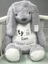 Giant Bunny
