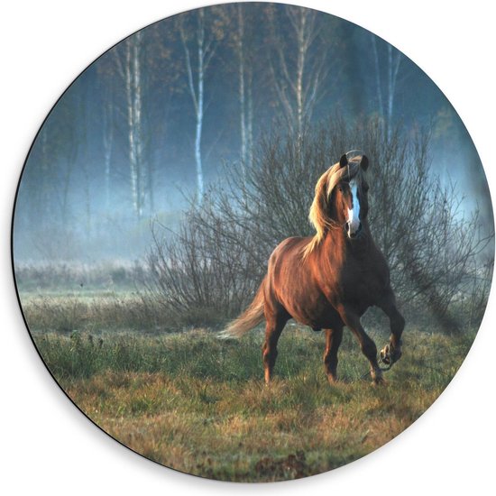 Dibond Wandcirkel - Wild Paard in de Natuur - 50x50cm Foto op Aluminium Wandcirkel (met ophangsysteem)