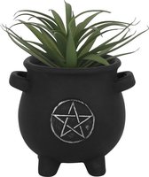 Something Different Plantenpot Pentagram Cauldron Zwart - Something Different - Witches Brew Collectie