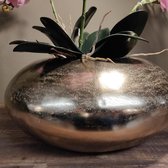 Set Aluminium Vaas (L) Goud met 3x Orchidee Steekschuim en Mos