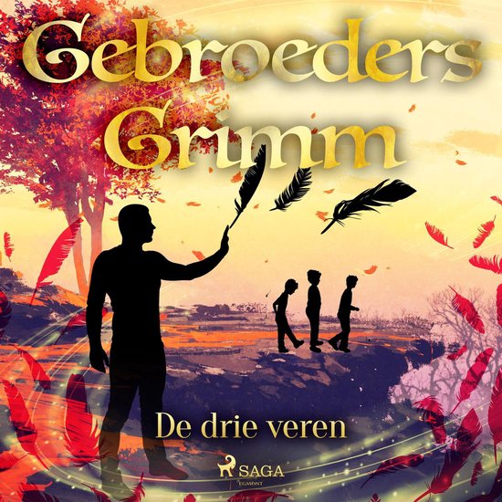 De drie veren - cover