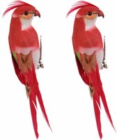 2x stuks decoratie kunststof vogel beeldje Papegaai op clip rood 13 cm