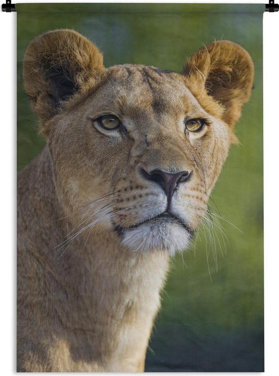 Tapisserie Lions - Jeune lionne Tapisserie coton 120x180 cm - Tapisserie avec photo XXL / Groot format !