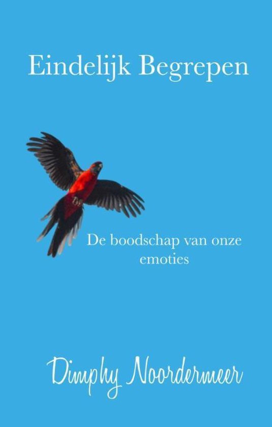 Eindelijk begrepen - cover