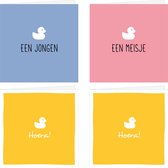 STUDIO SALUT Wenskaarten - Set van 4 geboorte wenskaarten mix - Gevouwen - Inclusief envelop