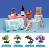 Bonsai Starters kit - Kamerplant -  4 Soorten Zaden - Incl Ebook - Duurzaam en Creatief Cadeau - Valentijn - Reeds ingepakt