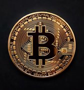 Bitcoin munt  (Goud)- BTC Munt - Bitcoin munt met hoesje - BlueBirdz