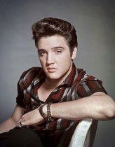 Elvis Portrait.  Metalen wandbord 31,5 x 40,5 cm.