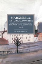 Marxism and Historical Practice