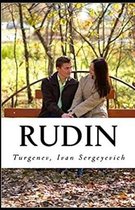 Rudin Annotated