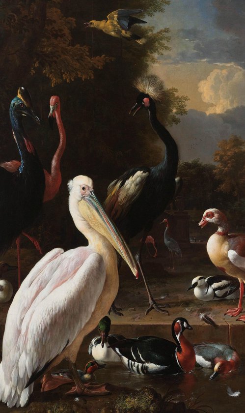 Schilderij - pelikaan en ander gevogele - Collectie dutch masters - Dibond wit - 70x118cm