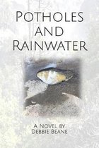 Potholes and Rainwater