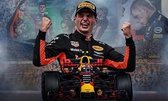 Denza - painting volwassenen Max Verstappen 40 x 50 cm volledige bedrukking ronde steentjes direct leverbaar - Max - verstappen - max formule 1 - grandprix - redbull