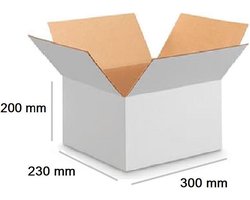 Verzenddoos 300 x 230 x 200 mm - 10 stuks - Kartonnen Verzenddozen Enkele Golf wit – Doos Dozen wit karton