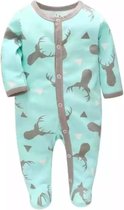 BonBini's® Baby boxpakje - rompertje - Scandinavian Deer - Ice green - 68-70 - 3 tot 6 maanden
