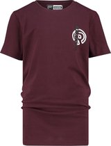 RAIZZED Boys T-shirt 'Hamilton'