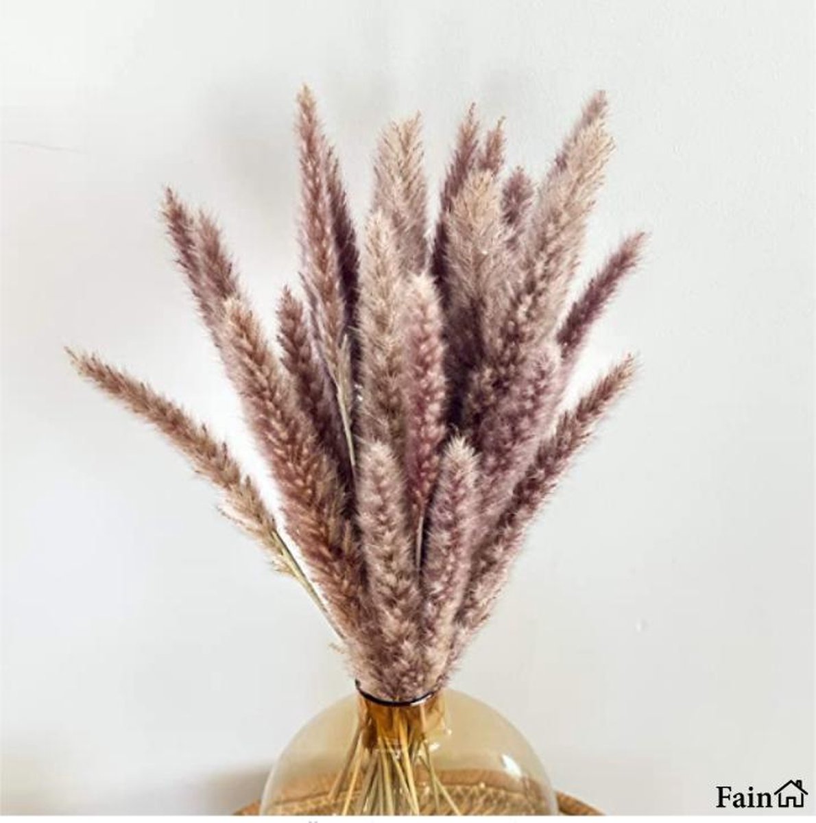 Pampas pluimen Natuurlijke tint - 15 stuks Pampas gras 70 cm Droogbloemen Cortaderia Dro