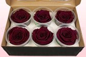 Rozenkoppen | 100% natuurlijk | Wijn | XL