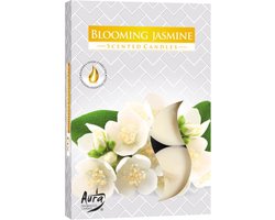 Bispol Geurtheelichten Bloeiende Jasmijn – Set van 6 Stuks