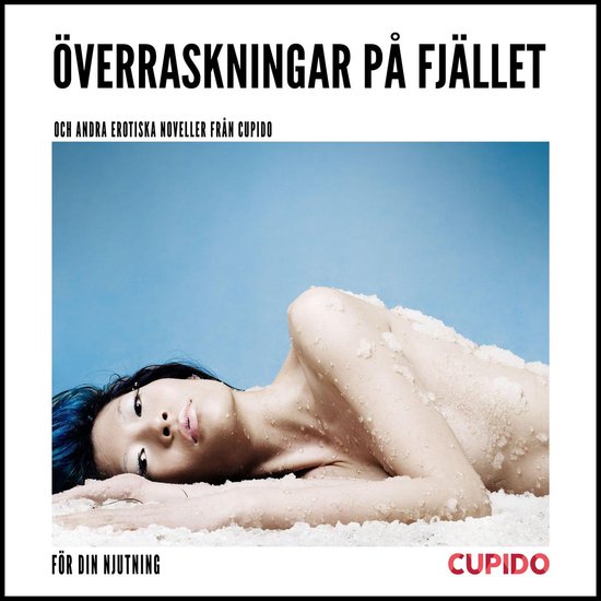 Överraskningar på fjället – och andra erotiska noveller ... - cover