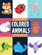 Colored Animals